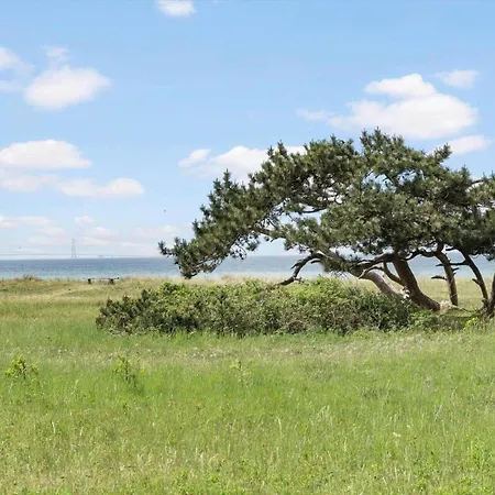 Sl311-slagelse-tagetesvej-19 *